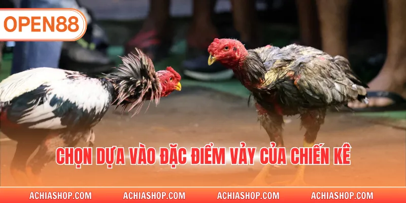 Chọn dựa vào đặc điểm vảy của chiến kê